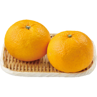 甘夏みかん2個
