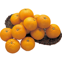 甘夏みかん5kg