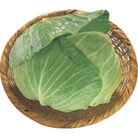 キャベツ1個