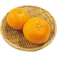 にじゅうまる2個（WEB）