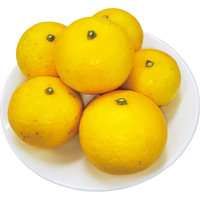 湘南ゴールド500g