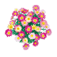 花の苗もの（WEB）