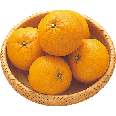 甘夏みかん2kg ｜生協の食材宅配 生活クラブのインターネット注文eくらぶ