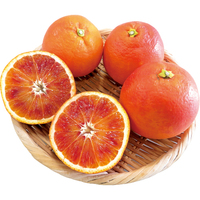 ブラッドオレンジ800g（WEB）