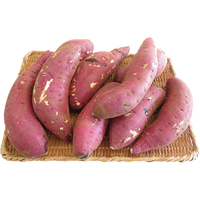 さつまいも（紅まさり）5kg