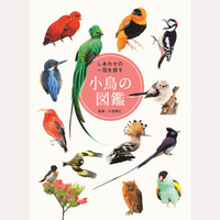 しあわせの一羽を探す　小鳥の図鑑