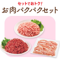 お試しお肉パクパクセットB