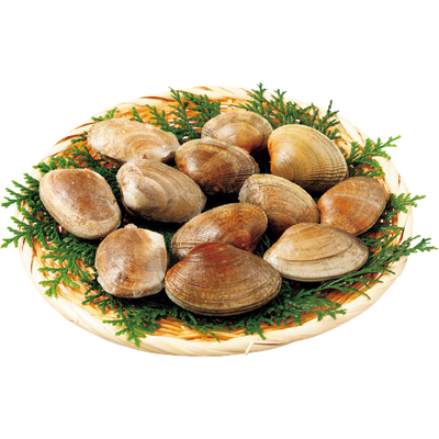 あさり（冷凍）北海道産 ｜生協の食材宅配 生活クラブのインターネット