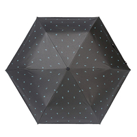 シャイニーチタンミニ　ボタニカルブルー