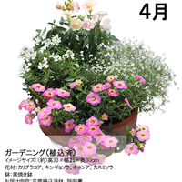 【宅配】ガーデニングコース（植込み済）頒布企画