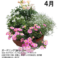 【宅配】ガーデニングコース（鉢なし）頒布企画