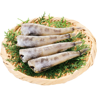 銚子のめひかり一汐干し（大）