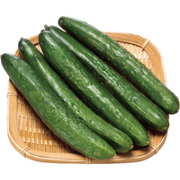 【お試し】きゅうり5本