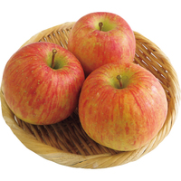 りんご（ふじ）800g