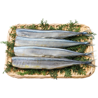 北海道産塩さんま（下処理済み）