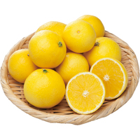 黄金柑（ゴールデンオレンジ）500g