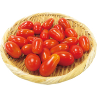 はればれ育ちミニトマト（サンタスティ）300g（WEB）