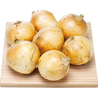 はればれ育ち新玉ねぎ1．5kg