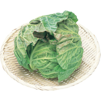 春キャベツ1個