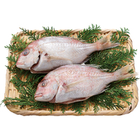 長崎県島原産ミニまだい（エラ・内臓取り）