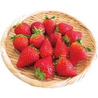 【お試し】いちご（いちごさん）240g