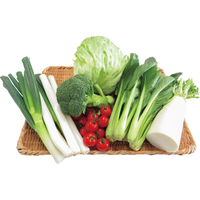 あっぱれ・はればれ野菜6点セット