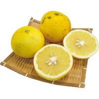 有機栽培グレープフルーツ700g（WEB）