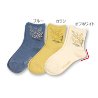 口ゴムゆったりミモザソックス3色組　22〜25cm