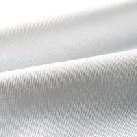 障子に貼るレース　2枚組　無地