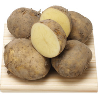 はればれ育ち新馬鈴薯700g