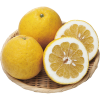 ジューシーフルーツ1．2kg