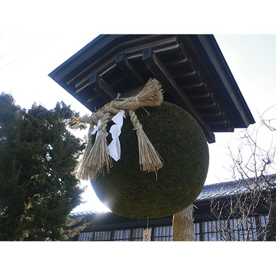 笑亀酒造のさかばやし（杉玉）