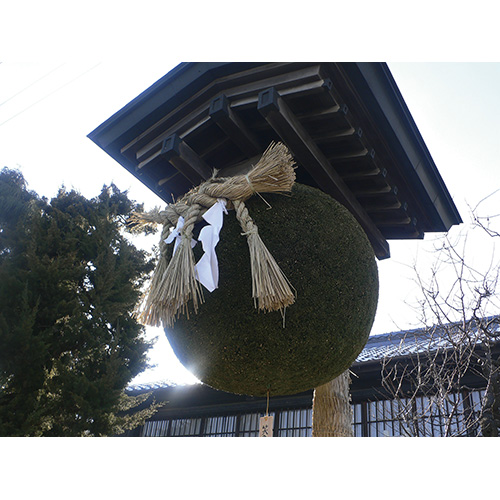 笑亀酒造のさかばやし（杉玉）