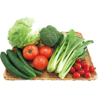 あっぱれ・はればれ野菜6点セット