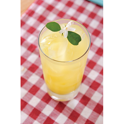 イメージ（水などで薄め、甘みを加えてジュースに）