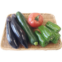 ラタトゥイユセット