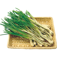 島らっきょう200g