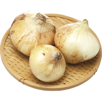 【お試し】新玉ねぎ700g