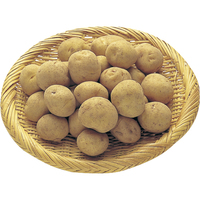 新馬鈴薯（小玉）600g