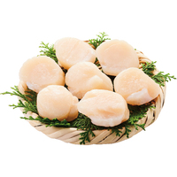 北海道産冷凍ほたて貝柱（割れ・欠け）