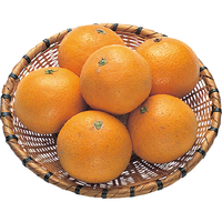 清見タンゴール1kg