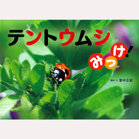 テントウムシみっけ！