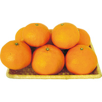 カラマンダリン600g