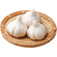 【お試し】新にんにく150g