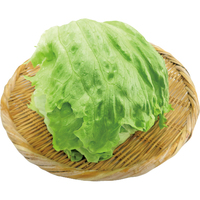 【お試し】はればれ育ちレタス1個
