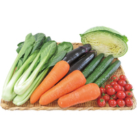 あっぱれ・はればれ野菜6点セット