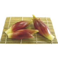 【お試し】ミョウガ40g