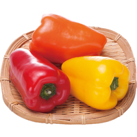 【お試し】カラーピーマン140g