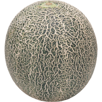 タカミメロン1個