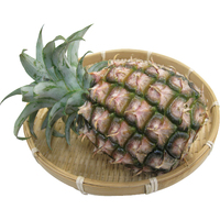 ピーチパイン1個（沖縄県産）